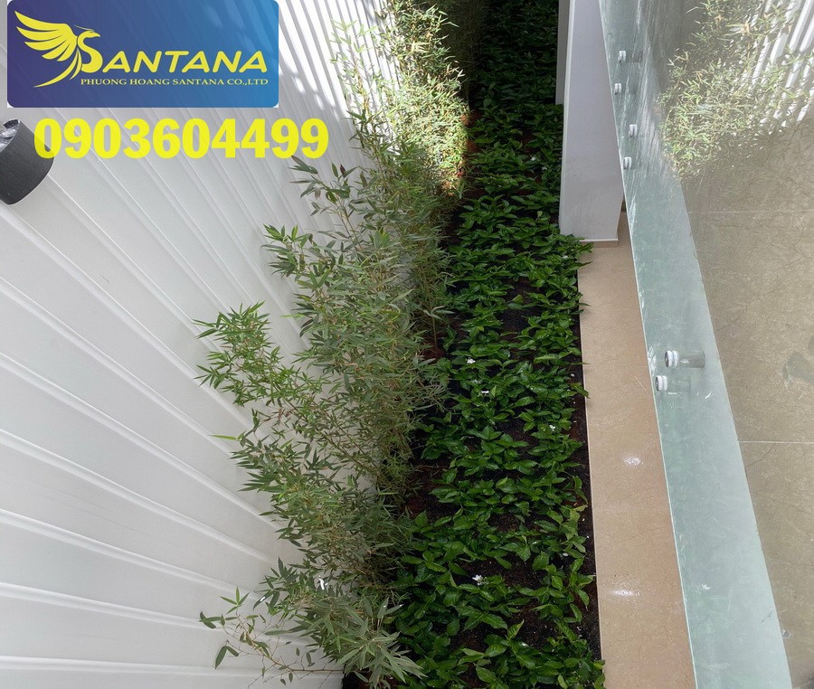 TUYỆT PHẨM Nhà Phố VƯỜN 3 lầu (5,5x13) khu cao cấp mặt tiền Lê Trực